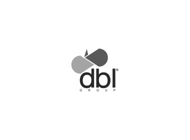 DBL Group